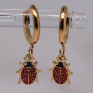 Aros Ladybug